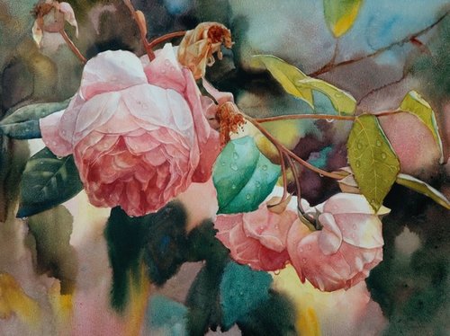 “Roses After Rain” Watercolour, 400mm x 500mm by artist Svetlana Orinko. See her portfolio by visiting www.ArtsyShark.com