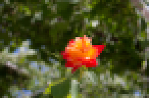 Flower Pixelated