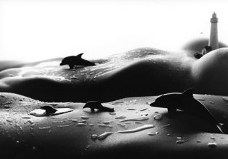 Dolphins photograph by Allan Teger from his Bodyscapes series. Read about this photographer at www.ArtsyShark.com
