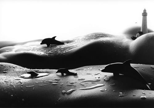Dolphins photograph by Allan Teger from his Bodyscapes series. Read about this photographer at www.ArtsyShark.com