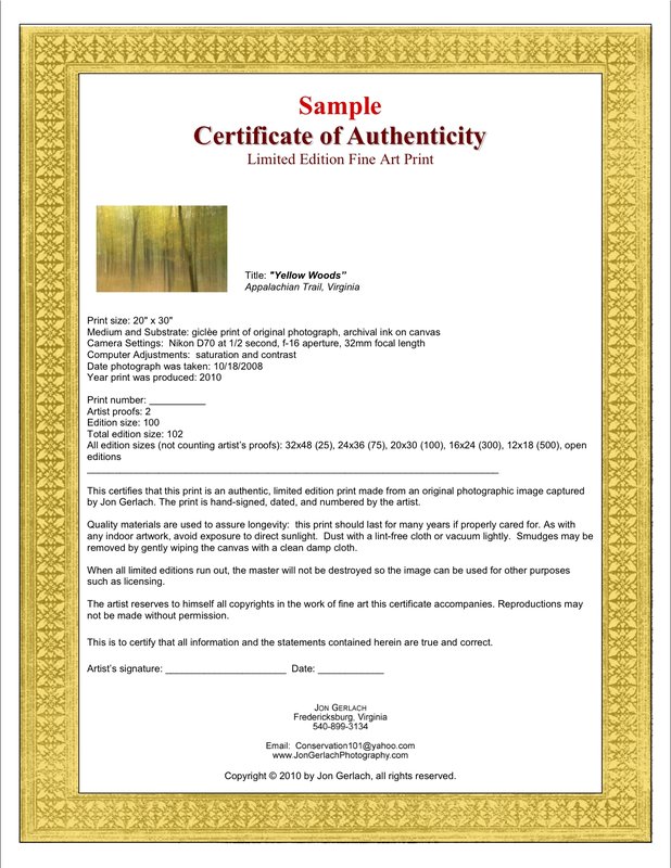 letter of authenticity