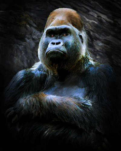 Harambe the gorilla photography and digital art by Deb Minnard.