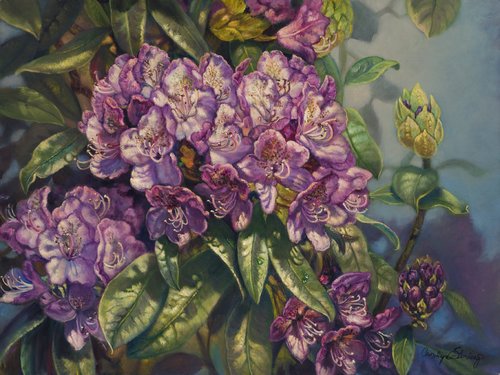 "Rhododendron-Purple Passion" Oil on Linen, 24" x 18" by artist Carolyn Sterling. See her portfolio by visiting www.ArtsyShark.com