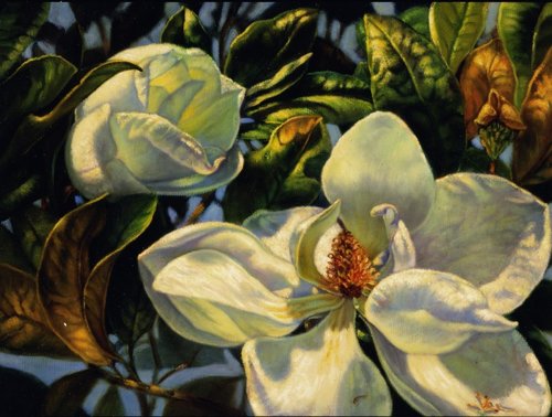 "Glorious Magnolia" Oil on Linen, 24" x 18" by artist Carolyn Sterling. See her portfolio by visiting www.ArtsyShark.com