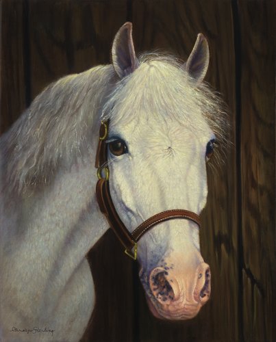 "Portrait of Timmy" Oil on Linen, 16" x 20" by artist Carolyn Sterling. See her portfolio by visiting www.ArtsyShark.com