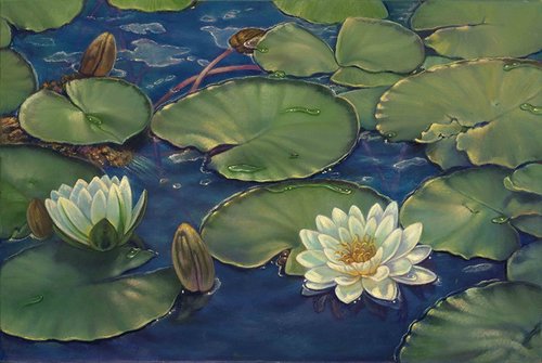 "Water Lily" Oil on Linen, 20" x 16" by artist Carolyn Sterling. See her portfolio by visiting www.ArtsyShark.com