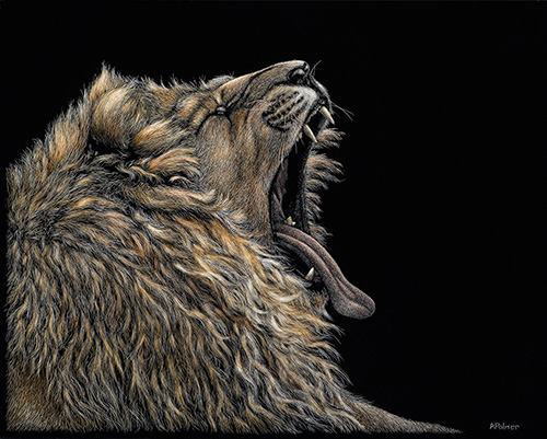 “A Slow Prey Day” Scratchboard, 8” x 10” by artist Anne Palmer. See her portfolio by visiting www.ArtsyShark.com
