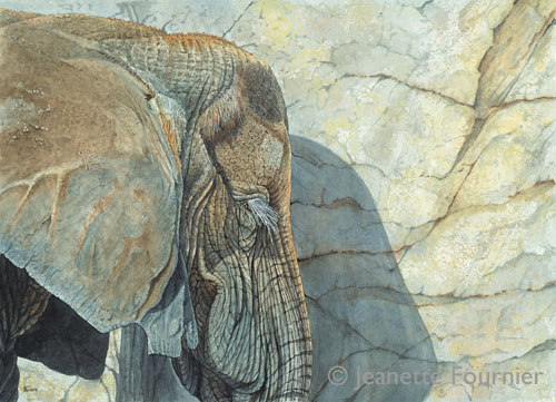“Between A Rock And Hard Place” Watercolor, 12” x 15"h by artist Jeanette Fournier. See her portfolio by visiting www.ArtsyShark.com