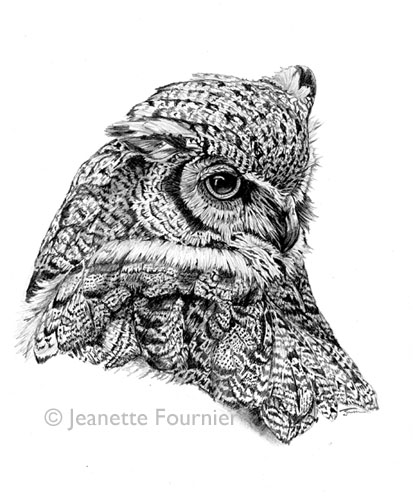“Drawn To Nature #1” (Great Horned Owl) Graphite, 6" x 6" by artist Jeanette Fournier. See her portfolio by visiting www.ArtsyShark.com