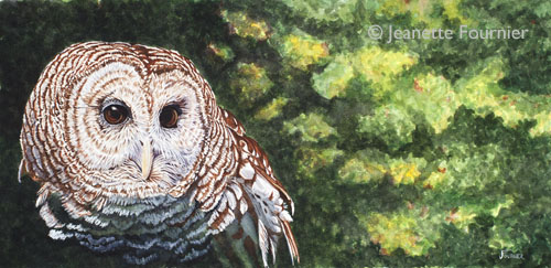“Spirit of Owl” Watercolor, 17” x 8" by artist Jeanette Fournier. See her portfolio by visiting www.ArtsyShark.com