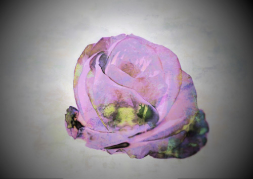 “Isolation Rose” Photopainting, Various Sizes by artist Dorothy Berry-Lound. See her portfolio by visiting www.ArtsyShark.com