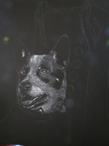 Scratchboard work in progress by artist Anne Palmer. See her portfolio by visiting www.ArtsyShark.com