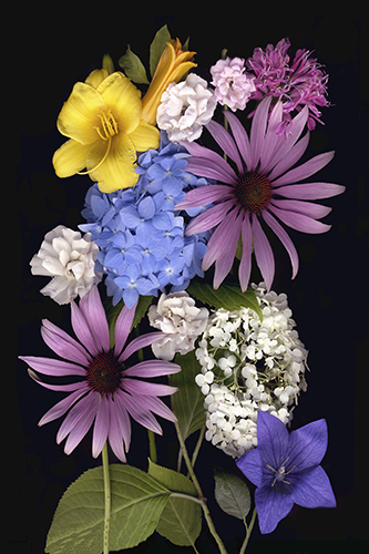"Summer Bouquet 2" Archival Digital Print, 12" x 18" by artist Vinette Varvaro. See her portfolio by visiting www.ArtsyShark.com