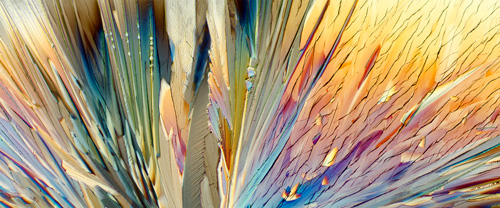 “Symphony” Crystalline citric acid (found in citrus fruits) Photography, Various Sizes by artist Lee Hendrickson. See his portfolio by visiting www.ArtsyShark.com