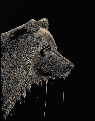 “Testing the Waters” Scratchboard, 11” x 14” by artist Anne Palmer. See her portfolio by visiting www.ArtsyShark.com