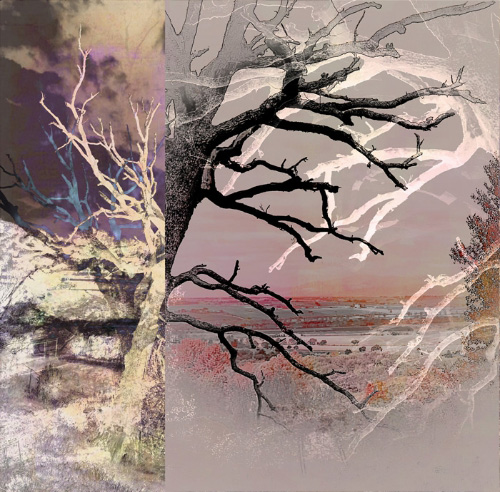 “Tree Layers 8” Photopainting (Based on a Photographic Composite), Various Sizes by artist Dorothy Berry-Lound. See her portfolio by visiting www.ArtsyShark.com