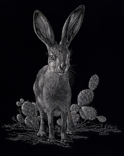 “What was That Jack?” Scratchboard, 8” x 10”by artist Anne Palmer. See her portfolio by visiting www.ArtsyShark.com 