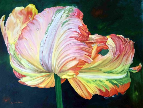 "A Flaming Tulip" Oil on Linen, 116cm x 88cm by artist Lily Van Bienen. See her portfolio by visiting www.ArtsyShark.com