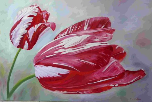 "English Tulips" Oil on Linen, 120cm x 80cm by artist Lily Van Bienen. See her portfolio by visiting www.ArtsyShark.com