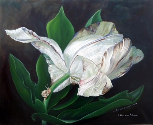"Gletcher Tulip" Oil on Linen, 61cm x 46cm by artist Lily Van Bienen. See her portfolio by visiting www.ArtsyShark.com