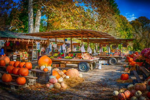 "Haskell Market #2" Photography, Various Sizes by artist Robert Lott. See his portfolio by visiting www.ArtsyShark.com