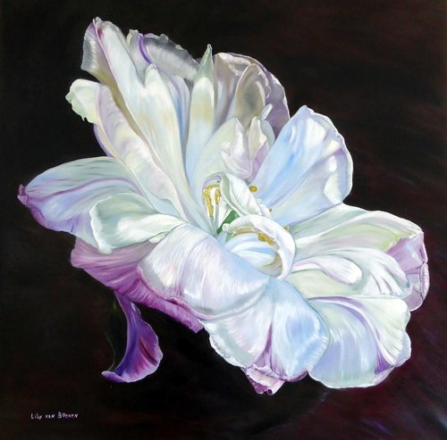 "Hope" Oil on Linen, 100cm x 100cm by artist Lily Van Bienen. See her portfolio by visiting www.ArtsyShark.com