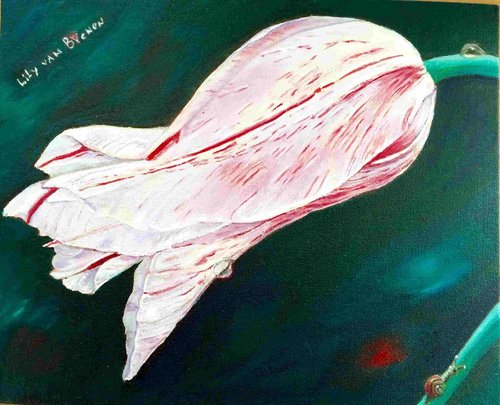"Marylin Tulip" Oil on Linen, 24cm x 30cm by artist Lily Van Bienen. See her portfolio by visiting www.ArtsyShark.com