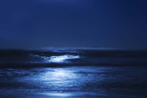 “Blue Moonlight” Archival Photograph mounted on Plexiglas, ed. of 10, 30” x 45” by artist Cheryl Maeder. See her portfolio by visiting www.ArtsyShark.com