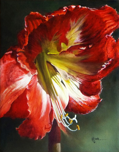 “My Amaryllis in Full Morning Glory” Oil on Canvas, 10” x 8”by artist Mary Dove. See her portfolio by visiting www.ArtsyShark.com 