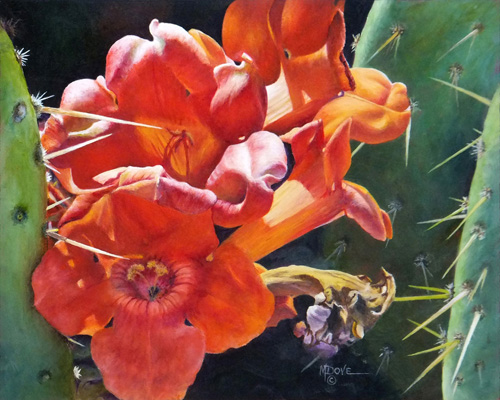 “Trumpet Vine on Donkey Ears Cactus” Oil on Canvas, 8” x 10”by artist Mary Dove. See her portfolio by visiting www.ArtsyShark.com 
