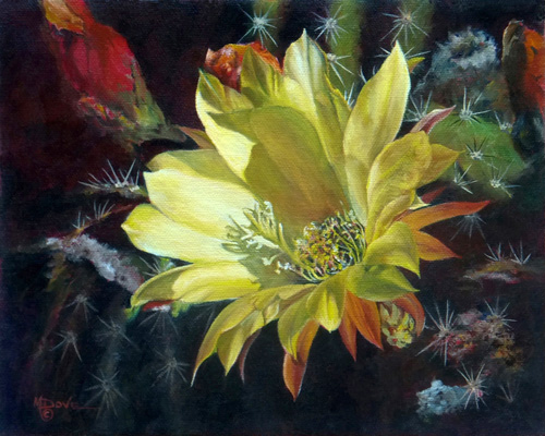“Yellow Argentine Giant Cactus Flower” Oil on Canvas, 8” x 10” by artist Mary Dove. See her portfolio by visiting www.ArtsyShark.com
