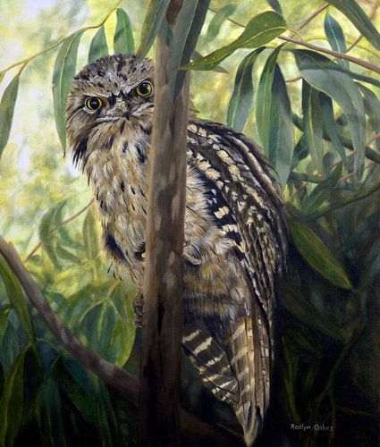 "Watching Me, Watching You" Oil on Canvas, 40cm x 55cm by artist Roslyn Oakes. See her portfolio by visiting www.ArtsyShark.com