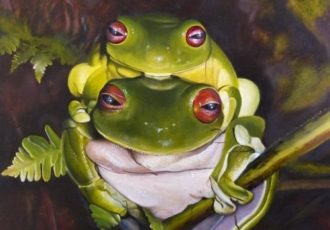 "White Lipped Green Tree Frogs" Oil on Canvas, 45cm x 45cm by artist Roslyn Oakes. See her portfolio by visiting www.ArtsyShark.com