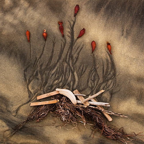 “Campfire” Photography, Various Sizes by artist Tom O Scott. To see his portfolio visit www.ArtsyShark.com