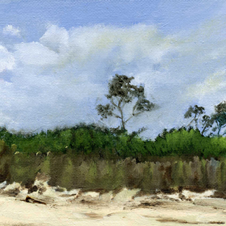 “Morning at Savage Neck Dunes” Oil on Canvas Board, 6" x 6" by artist Barbara Hart. See her portfolio by visiting www.ArtsyShark.com