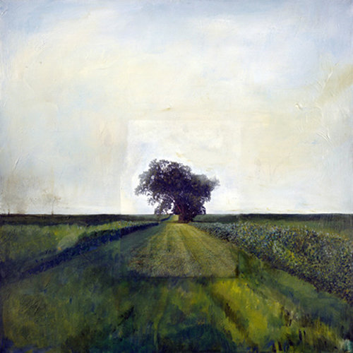 “Lone Tree” Collage and Oil on Canvas, 24" x 24" by artist Barbara Hart. See her portfolio by visiting www.ArtsyShark.com
