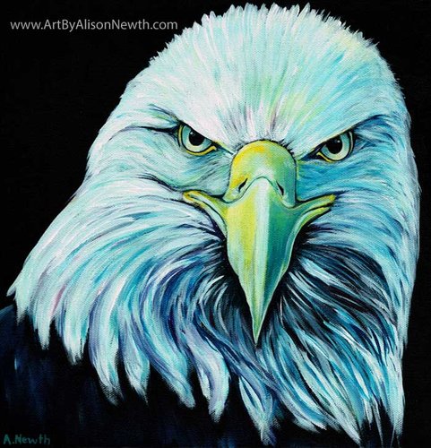 “Bald Eagle” Acrylic on Canvas, 12” x 12" by artist Alison Newth. See her portfolio by visiting www.ArtsyShark.com