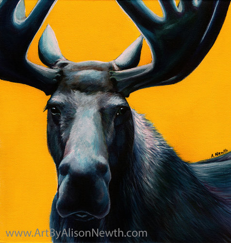 “Moose” Acrylic on Canvas, 12” x 12" by artist Alison Newth. See her portfolio by visiting www.ArtsyShark.com
