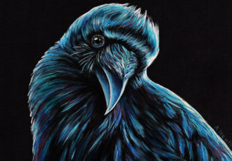 “Curious Raven” Acrylic on Canvas, 12” x 12" by artist Alison Newth. See her portfolio by visiting www.ArtsyShark.com