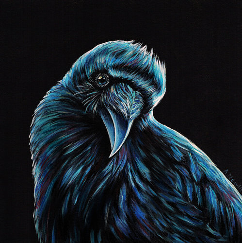 “Curious Raven” Acrylic on Canvas, 12” x 12" by artist Alison Newth. See her portfolio by visiting www.ArtsyShark.com