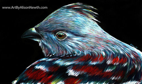 “The Grouse” Acrylic on Canvas, 8” x 14" by artist Alison Newth. See her portfolio by visiting www.ArtsyShark.com