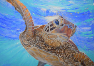 “Turtle – Harry” Acrylic on Paper, 42cm x 30cm by artist Carole Elliott. See her portfolio by visiting www.ArtsyShark.com