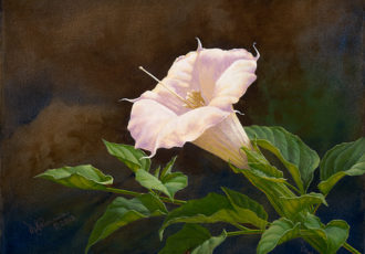 “Sonoran Elegance, Defined” Oil on Canvas, 9” x 12” by artist Muriel Timmons. See her portfolio by visiting www.ArtsyShark.com