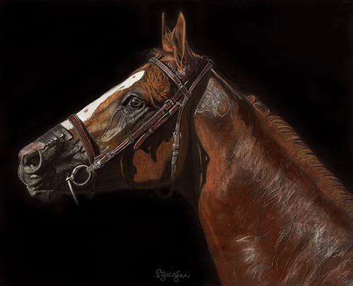 CA Chrome - Awesome Again, 16" x 20" Pastel drawing by Sue Ziegler. See her artwork in Art of the Horse at www.ArtsyShark.com