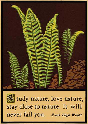 Ferns, linoleum block print by artist Laura Wilder. See her artist feature at www.ArtsyShark.com