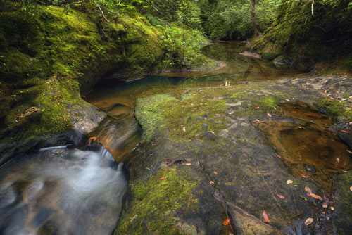 “Blooms Creek” Photography, Various Sizes by artist Mike DeCesare. See his portfolio by visiting www.ArtsyShark.com