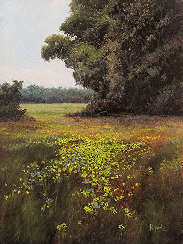 “Coriopsis in April” Oil on Board, 6” x 8” by artist Jeff Ripple. See his portfolio by visiting www.ArtsyShark.com