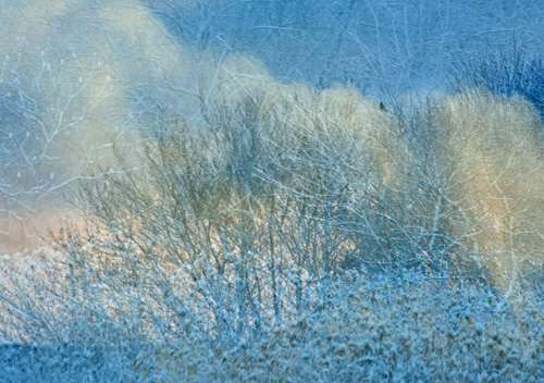 “Blue Morning” Digital Photograph, Various Sizes by artist Karen Glosser. See her portfolio by visiting www.ArtsyShark.com
