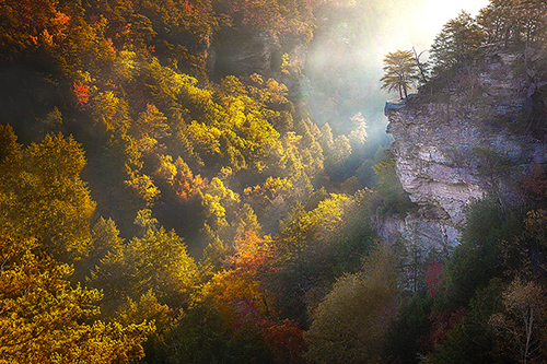 "Autumn Inspiration" Photography, Various Sizesby artist Dennis Sabo. See his portfolio by visiting www.ArtsyShark.com