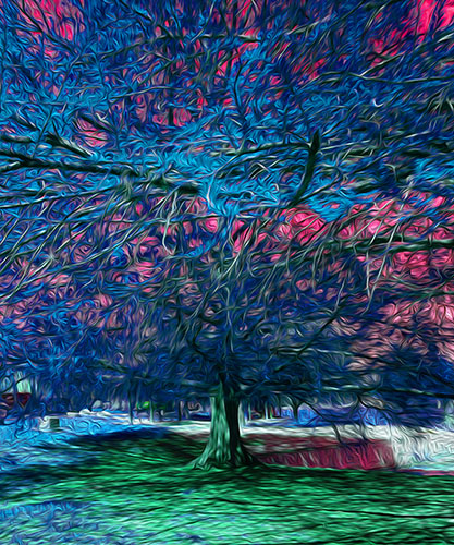 “Blanco River Tree Blue” Computer Enhanced Photo on Aluminum, 24” x 20” by artist Nancy Wood. See her portfolio by visiting www.ArtsyShark.com